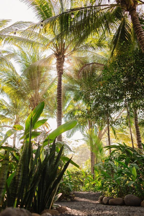Mandala Eco Villas ラ・リベルタード エクステリア 写真
